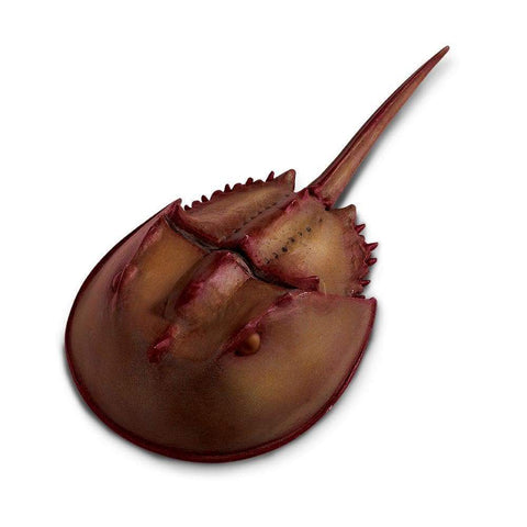 Safari Ltd Horseshoe Crab Figure