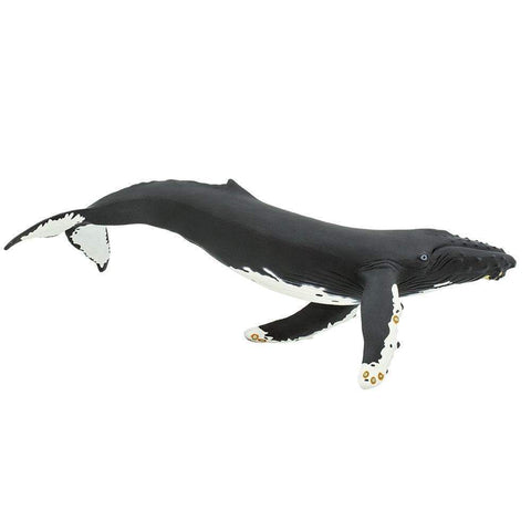 Safari Ltd Monterey Bay Humpback Whale