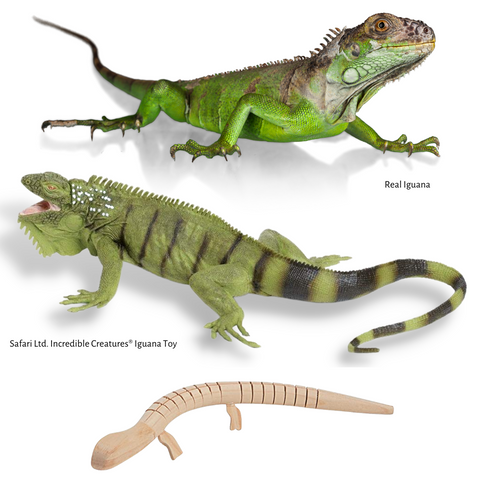 Anatomically Correct Animal Toys - iguana