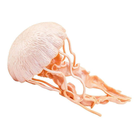 Safari Ltd Jellyfish Figure