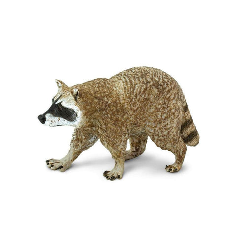 Safari Ltd North American Wildlife Raccoon Toy