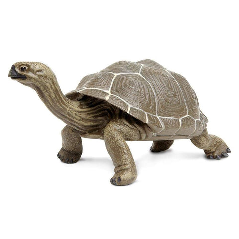 longest living animals - safari ltd incredible creatures giant tortoise toy figure