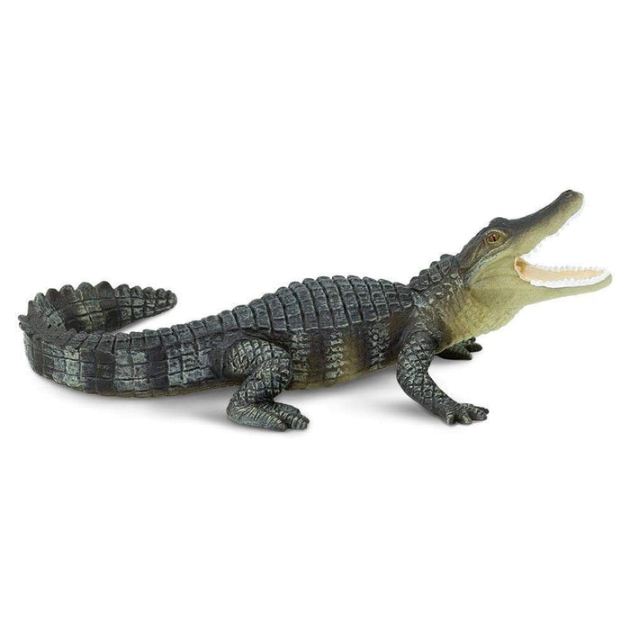 alligator toy videos