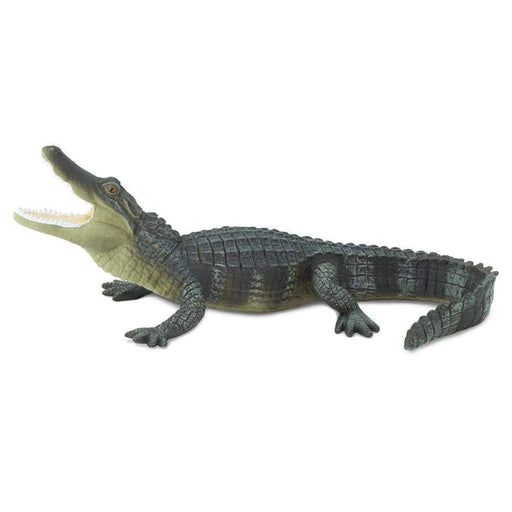  Safari Ltd. Saltwater Crocodile Figurine - Detailed 12 Plastic  Model Figure - Fun Educational Play Toy for Boys, Girls & Kids Ages 18M+ :  Toys & Games