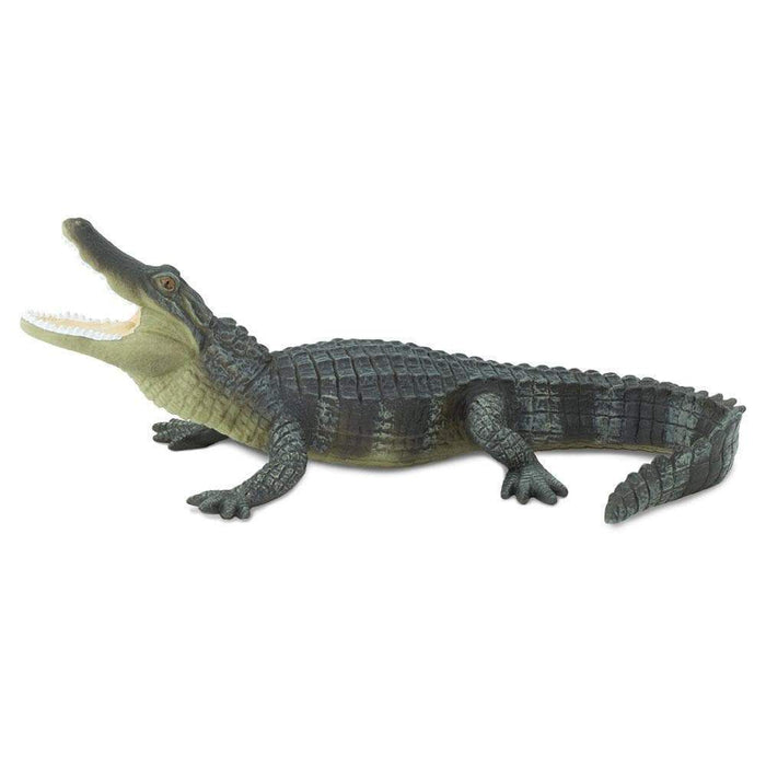 safari ltd alligator