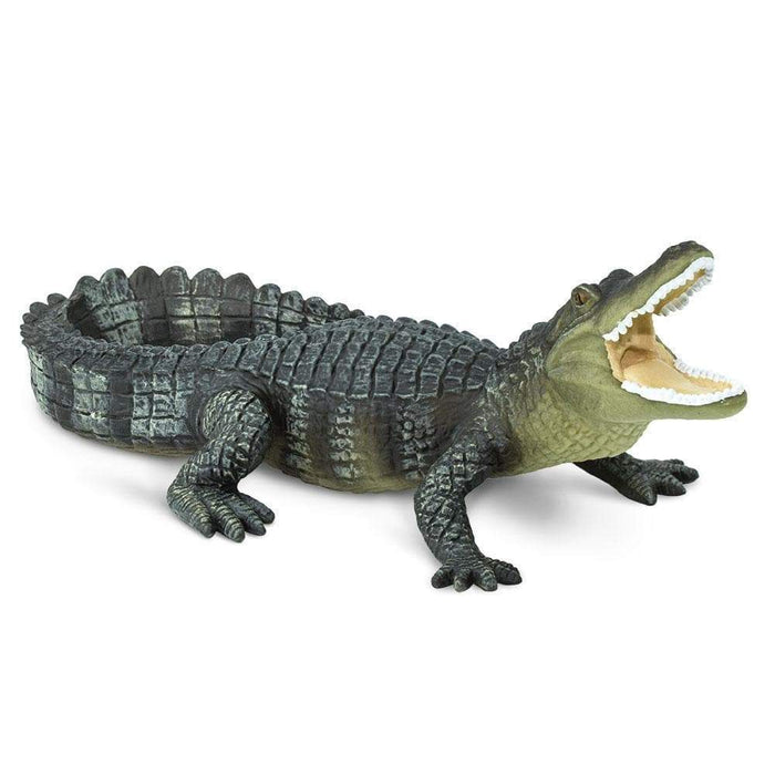 alligator toy videos