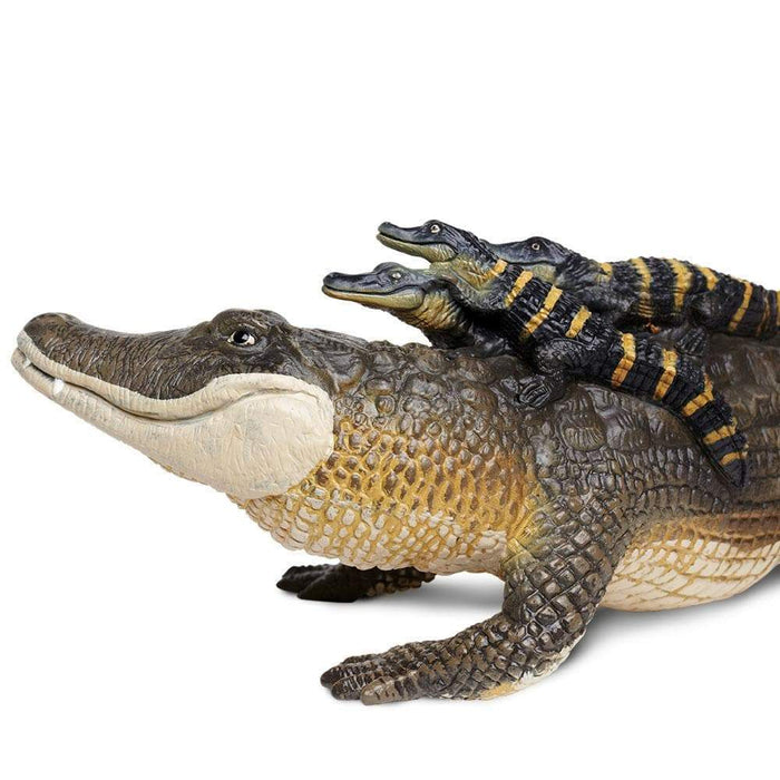 baby crocodile toy