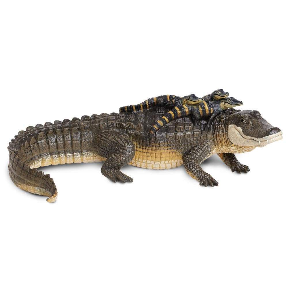 real stuffed baby alligator