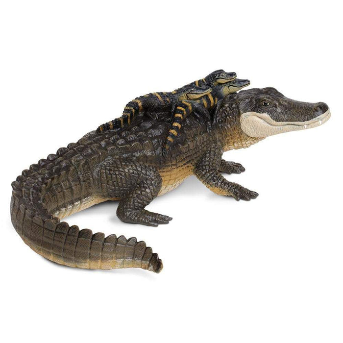 alligator toy videos