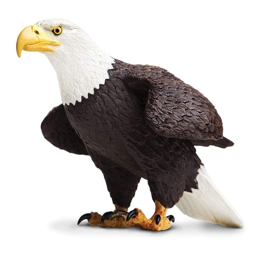 safari ltd bald eagle