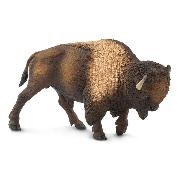 bison safari ltd