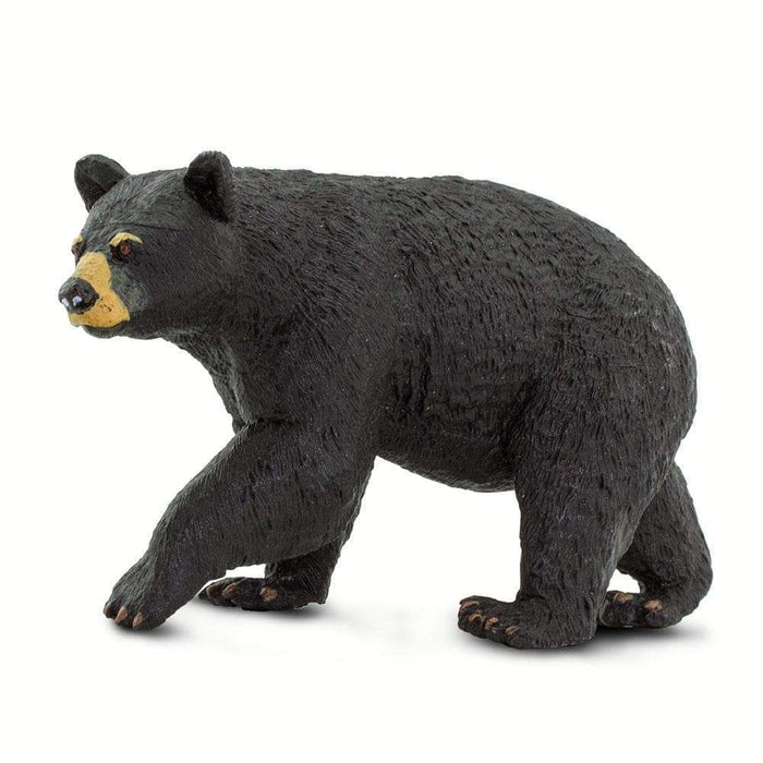 safari ltd bear