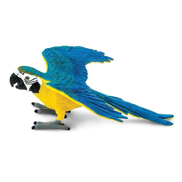 Blue \u0026 Gold Macaw Toy | Safari Ltd®