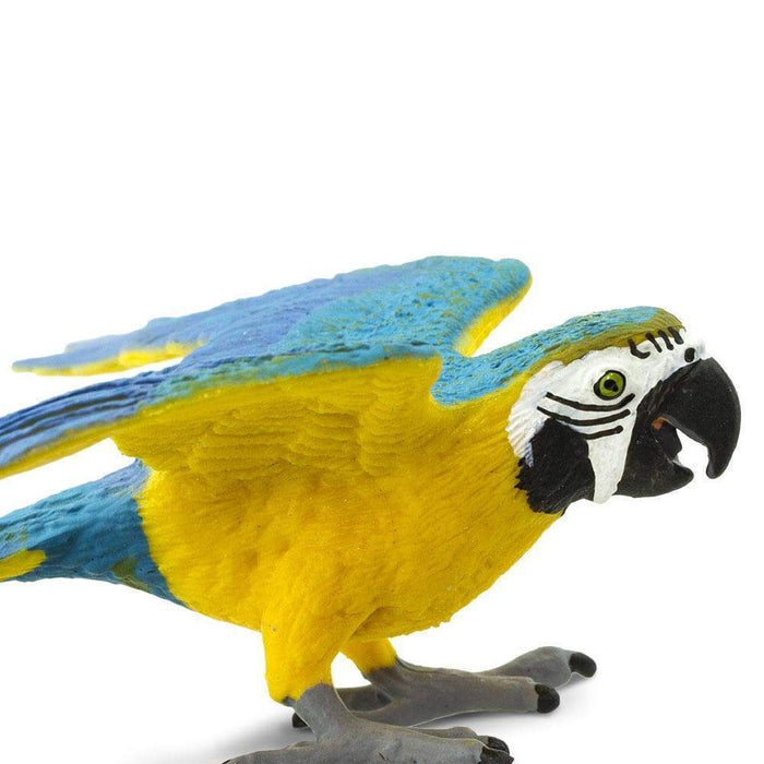 macaw plush