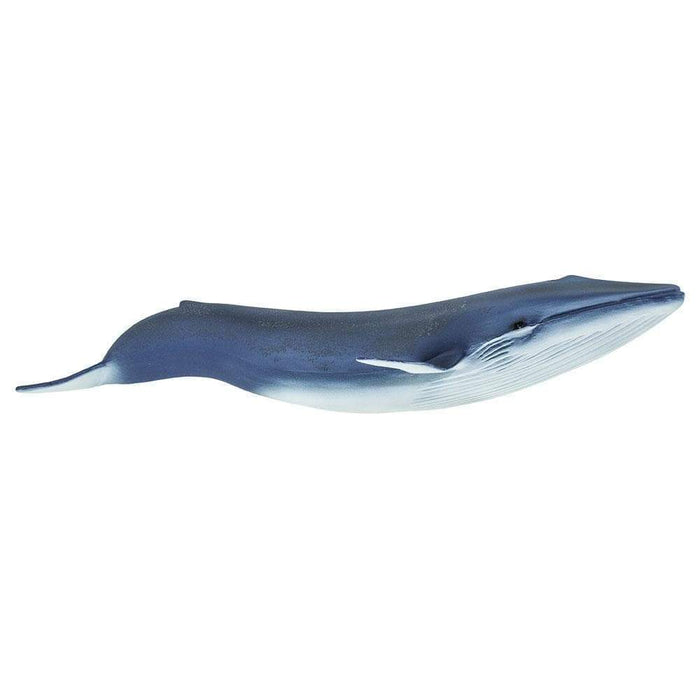 blue whale figure