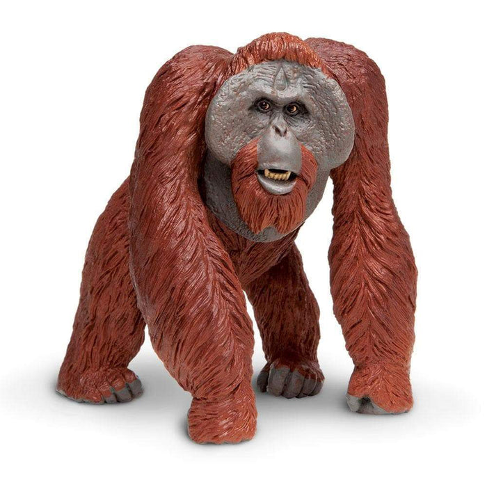 safari ltd orangutan