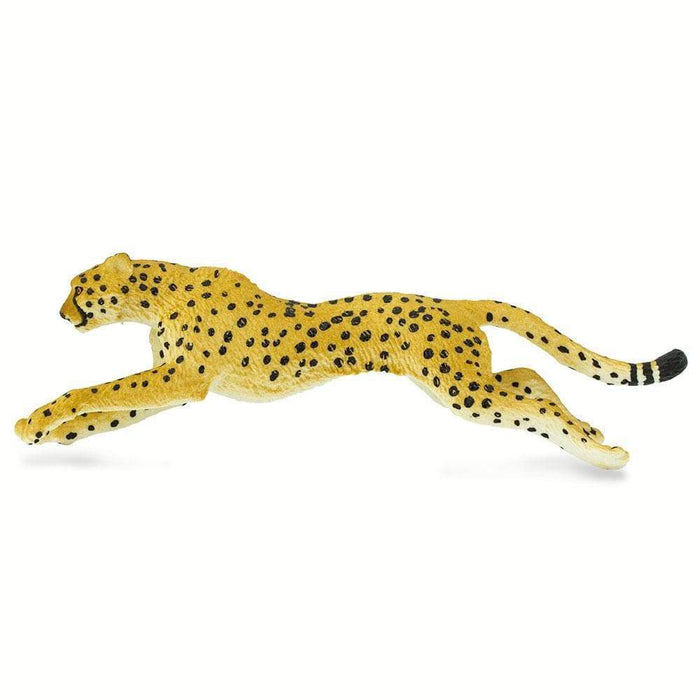 cheetah toys and more