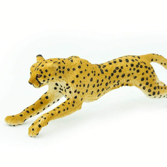 cheetah toys and more