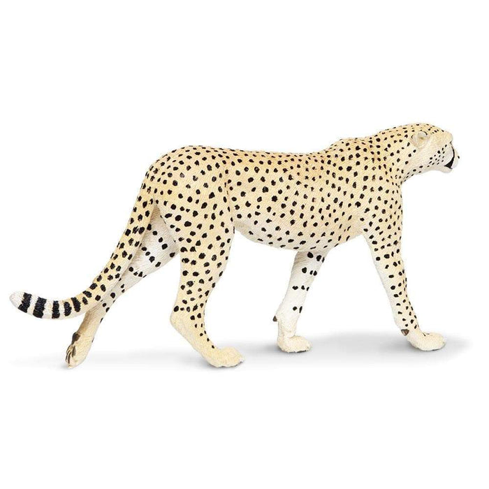 cheetah toys and more