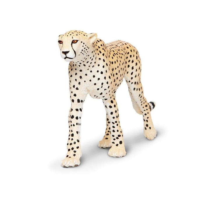 cheetah toys and more