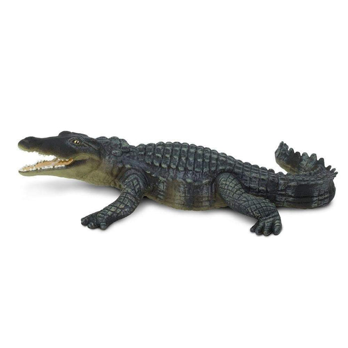 croc toy