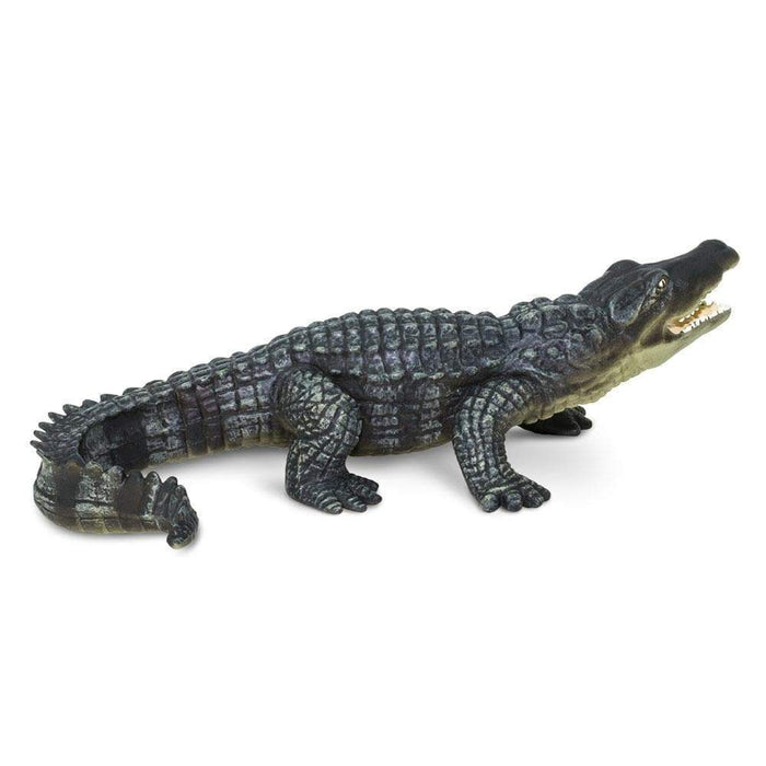 safari ltd alligator