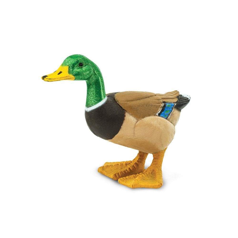 mallard duck toy