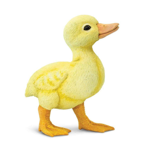 toy duckling