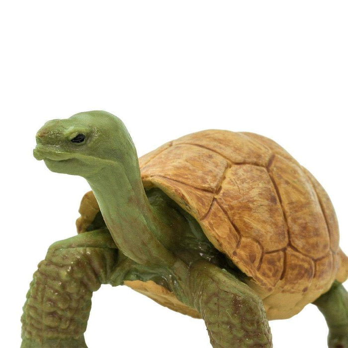 tortoise stuffed animal