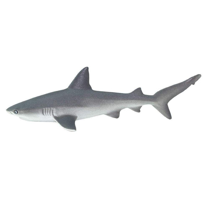 bull shark toy