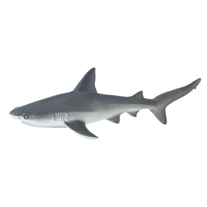 nurse shark toy