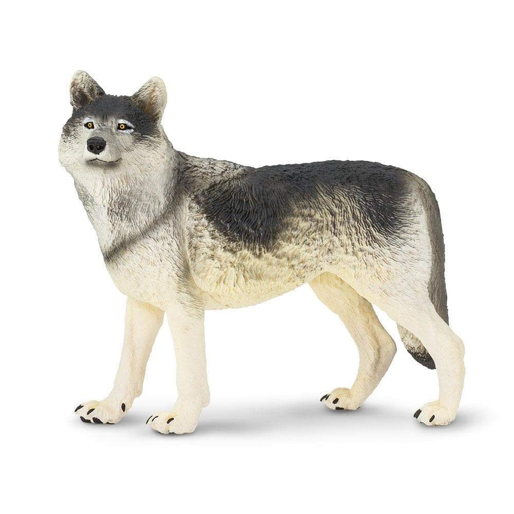 safari ltd gray wolf