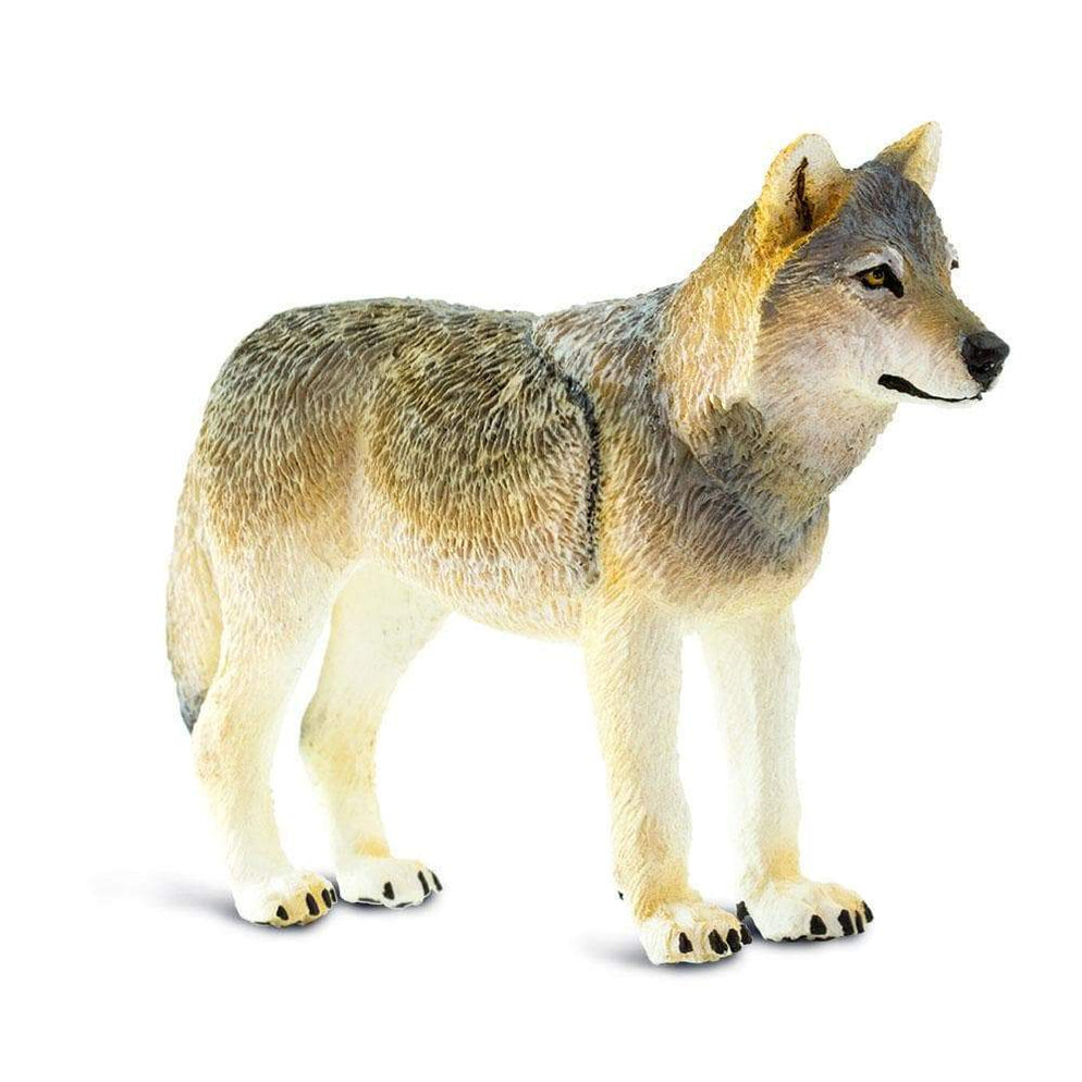 safari ltd gray wolf