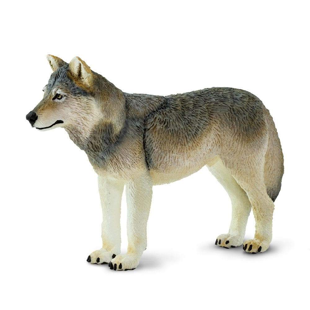 safari ltd wolf