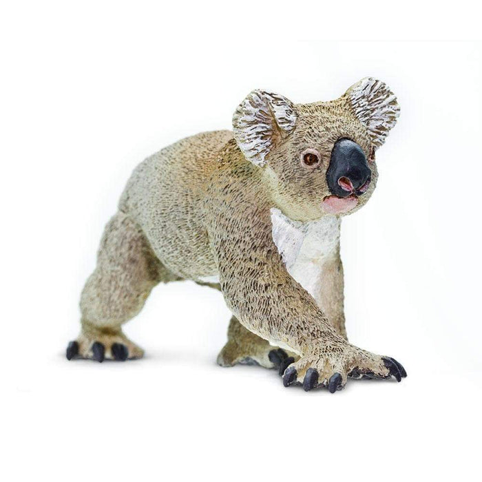 safari ltd koala