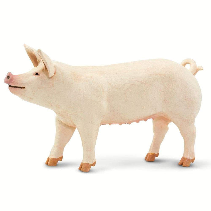 toy pig