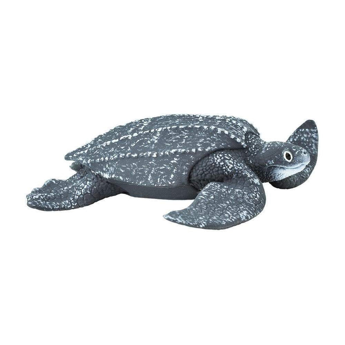 sea turtle figures