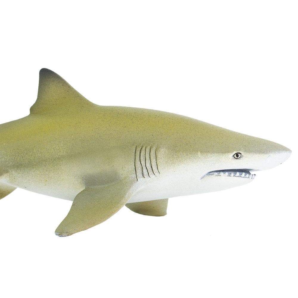 lemon shark stuffed animal