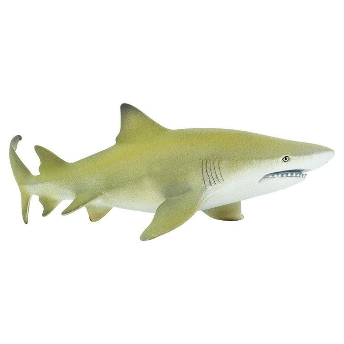 lemon shark plush