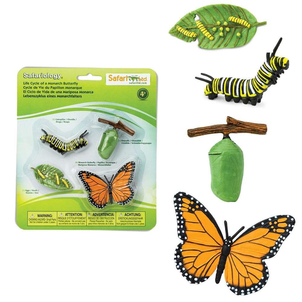 Download Life Cycle Of A Monarch Butterfly Safariology Safari Ltd