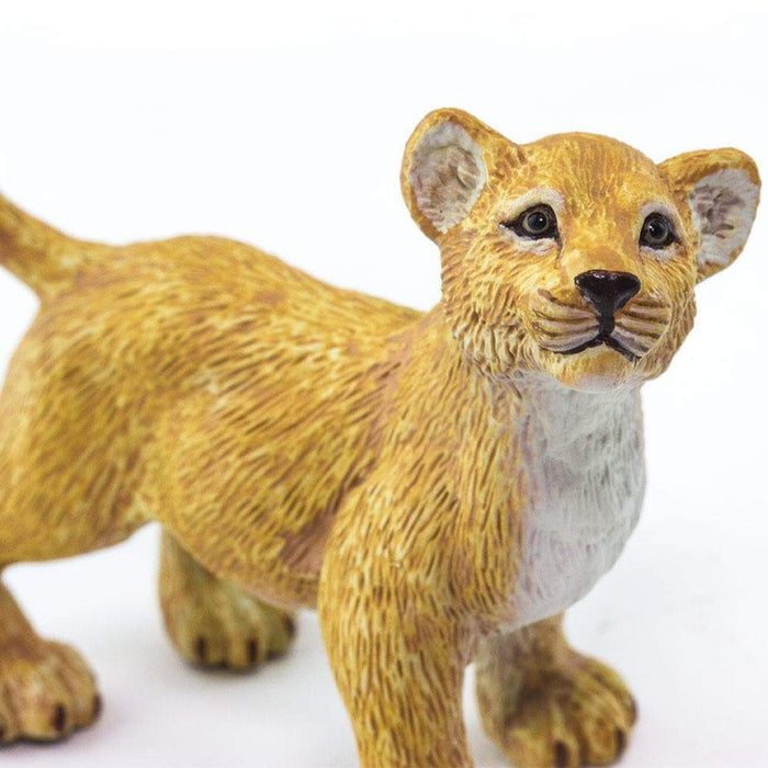 safari ltd lion cub