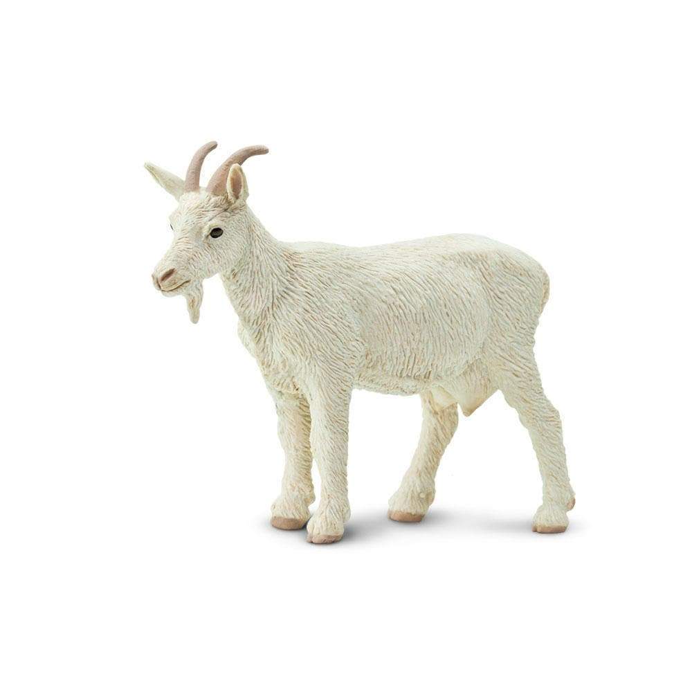 toy goat