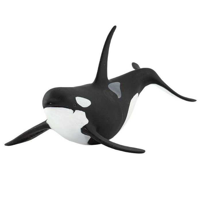 orca soft toy