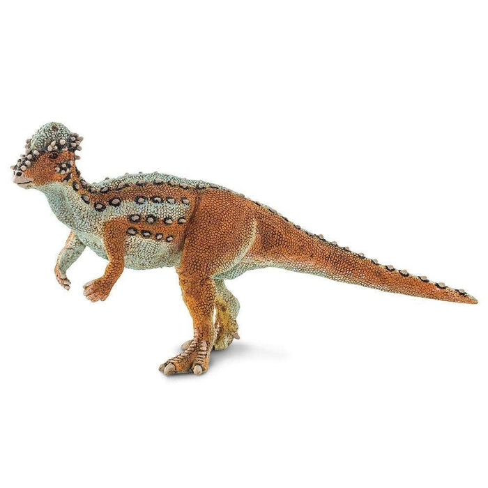 Pachycephalosaurus | Dinosaur Toy 