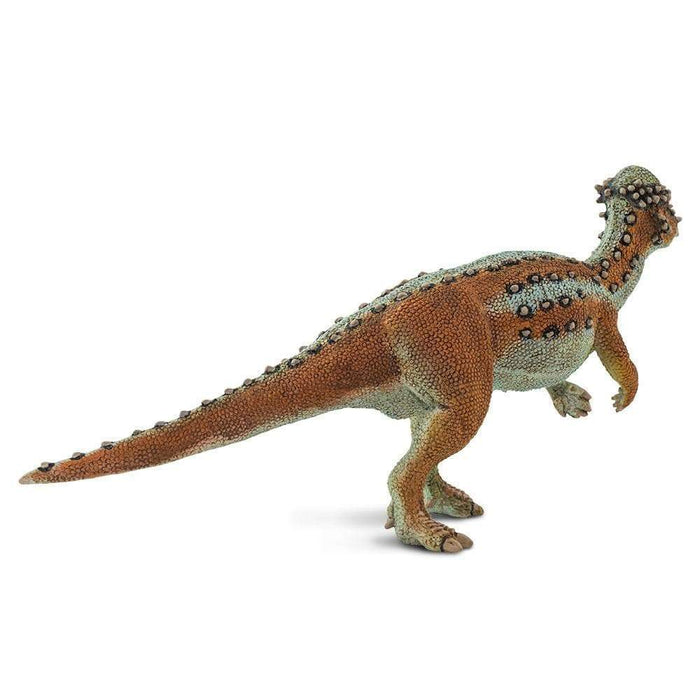 pachycephalosaurus stuffed animal