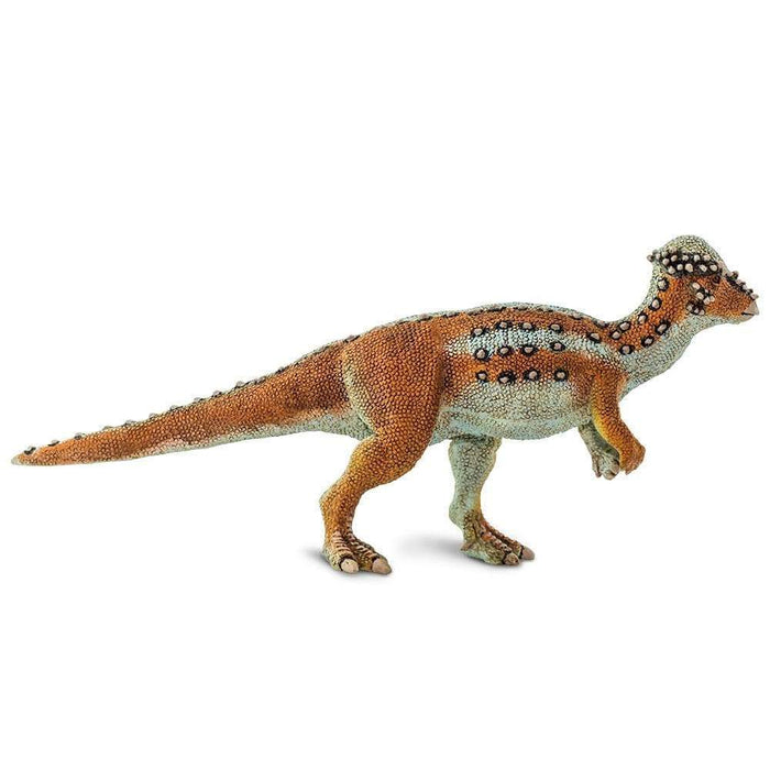 pachycephalosaurus stuffed animal