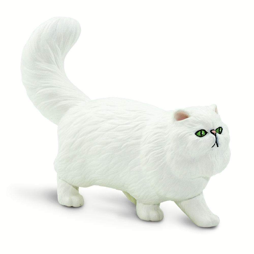 white teacup persian cat