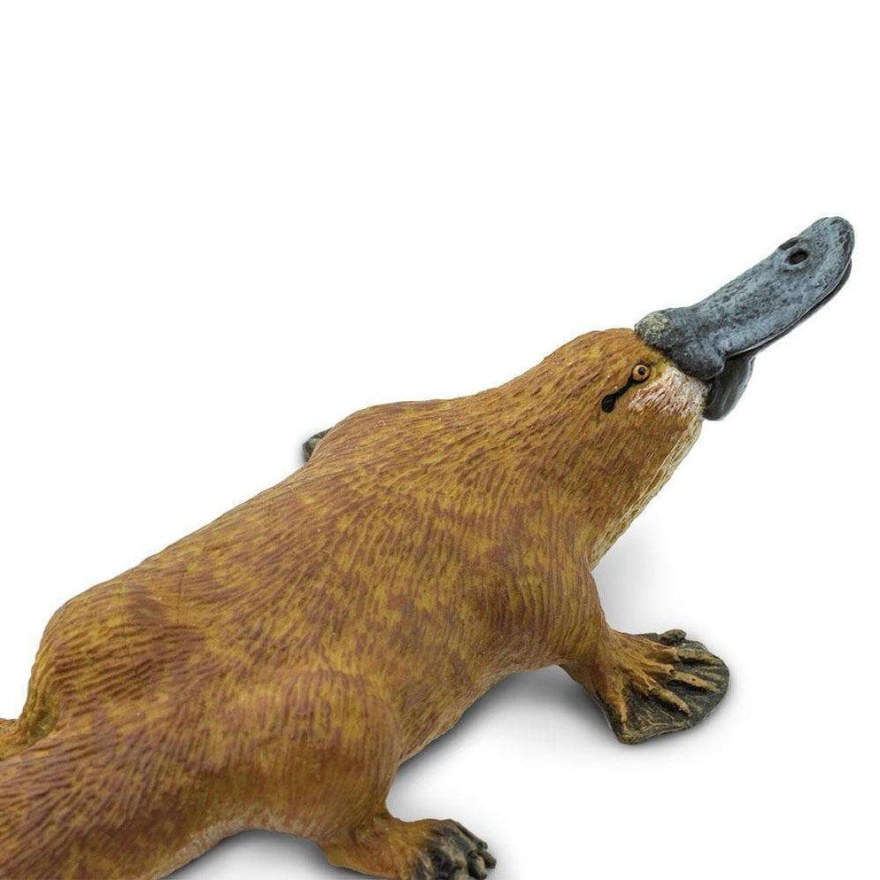 mojo duck billed platypus toy figure