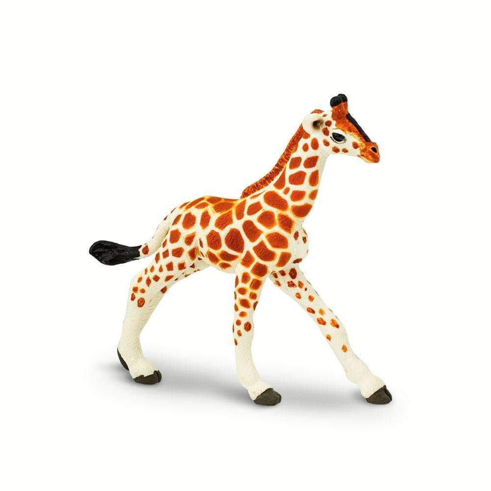 giraffe baby toy