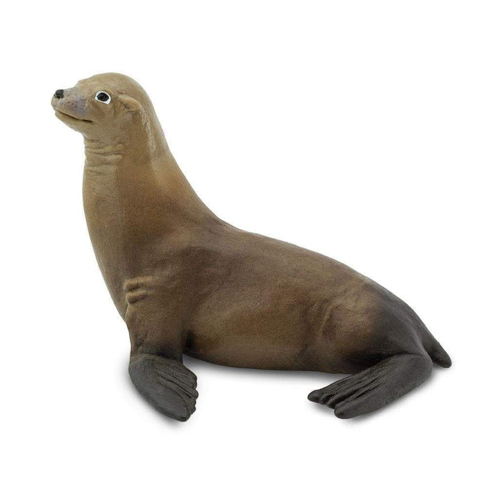 sea lion toy